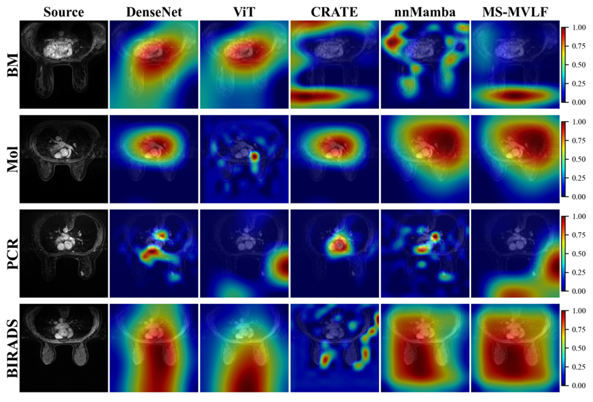 classification visualization