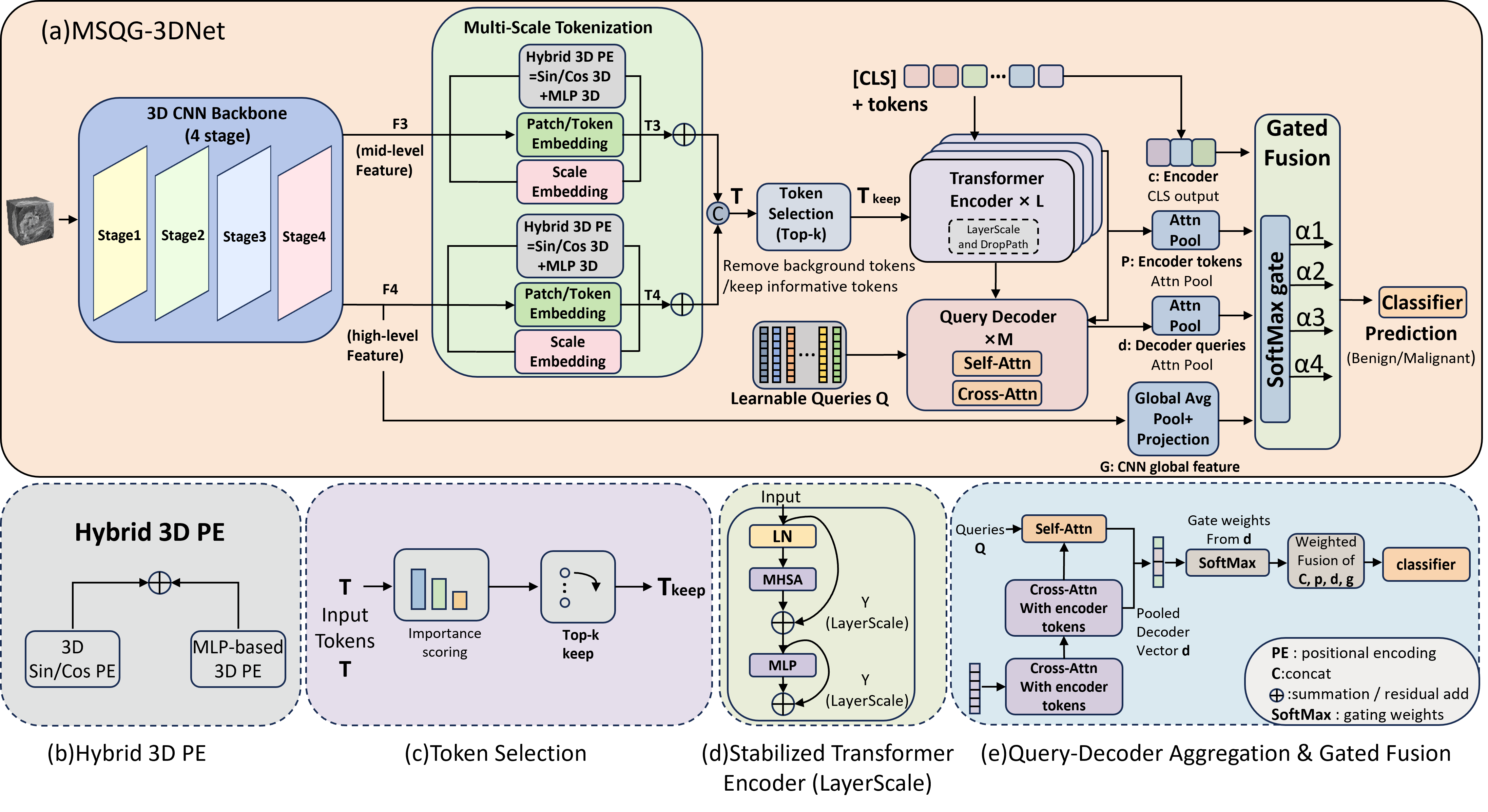 MSQG-3DNet framework diagram