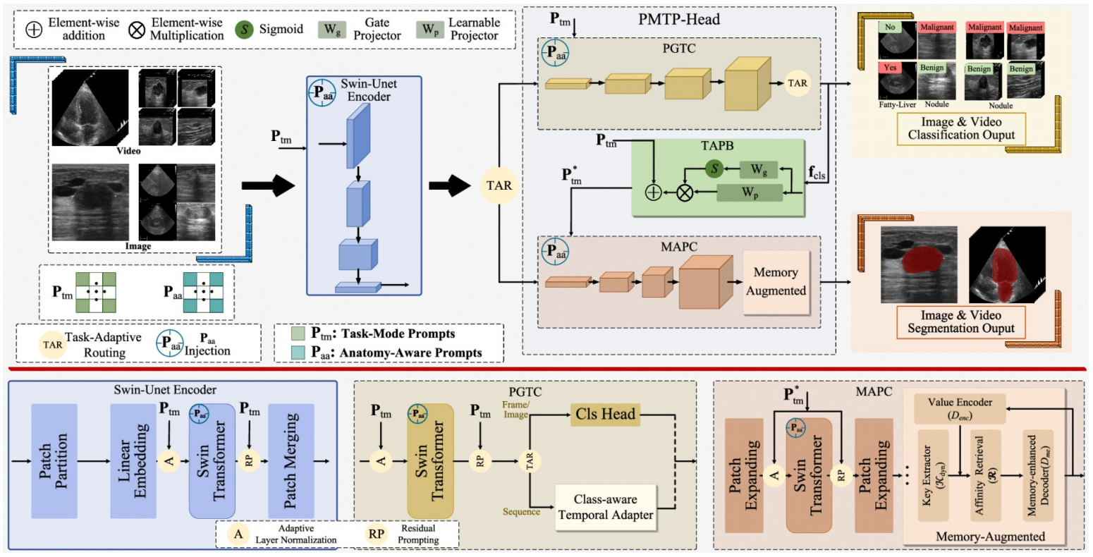 HoloPercept architecture
